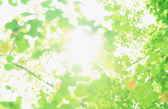 あらゆる疲労や痛みに最適な技術と空間リラクゼーション＆ボディケアNONKI